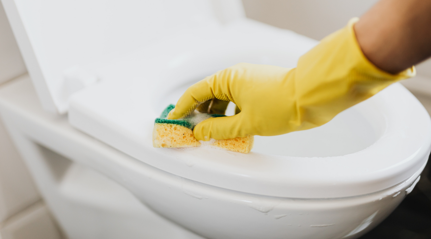 Sanitary cleaners